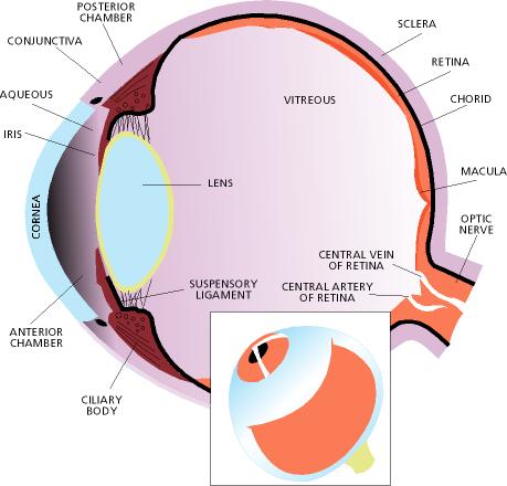 Eye Diagram